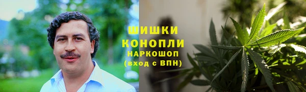 PSILOCYBIN Алексин