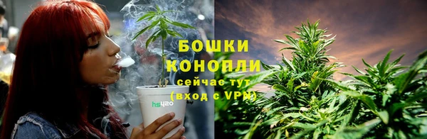 PSILOCYBIN Алексин