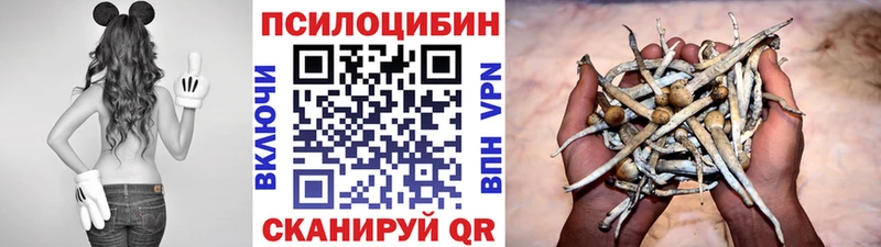 Галлюциногенные грибы Magic Shrooms  даркнет сайт  Билибино 